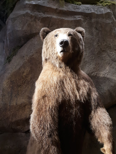 Urban Development Corporation «Steelpointe Harbor», reviews and photos, 508 Stratford Ave, Bridgeport, CT 06608, USA