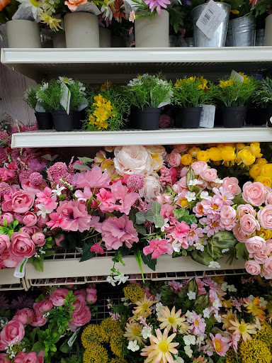 Craft Store «Michaels», reviews and photos, 2155 Zumbehl Rd, St Charles, MO 63303, USA