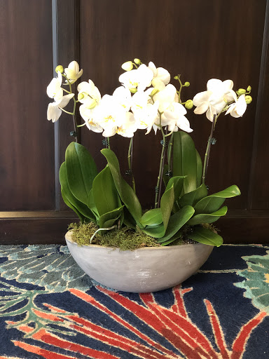 Florist «Michael Florist Ltd», reviews and photos, 1171 Mineral Spring Ave, North Providence, RI 02904, USA