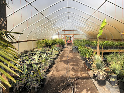 Oregon Palm Nursery