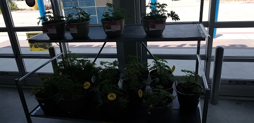 Discount Store «Walmart», reviews and photos, 701 W Princeton Dr, Princeton, TX 75407, USA