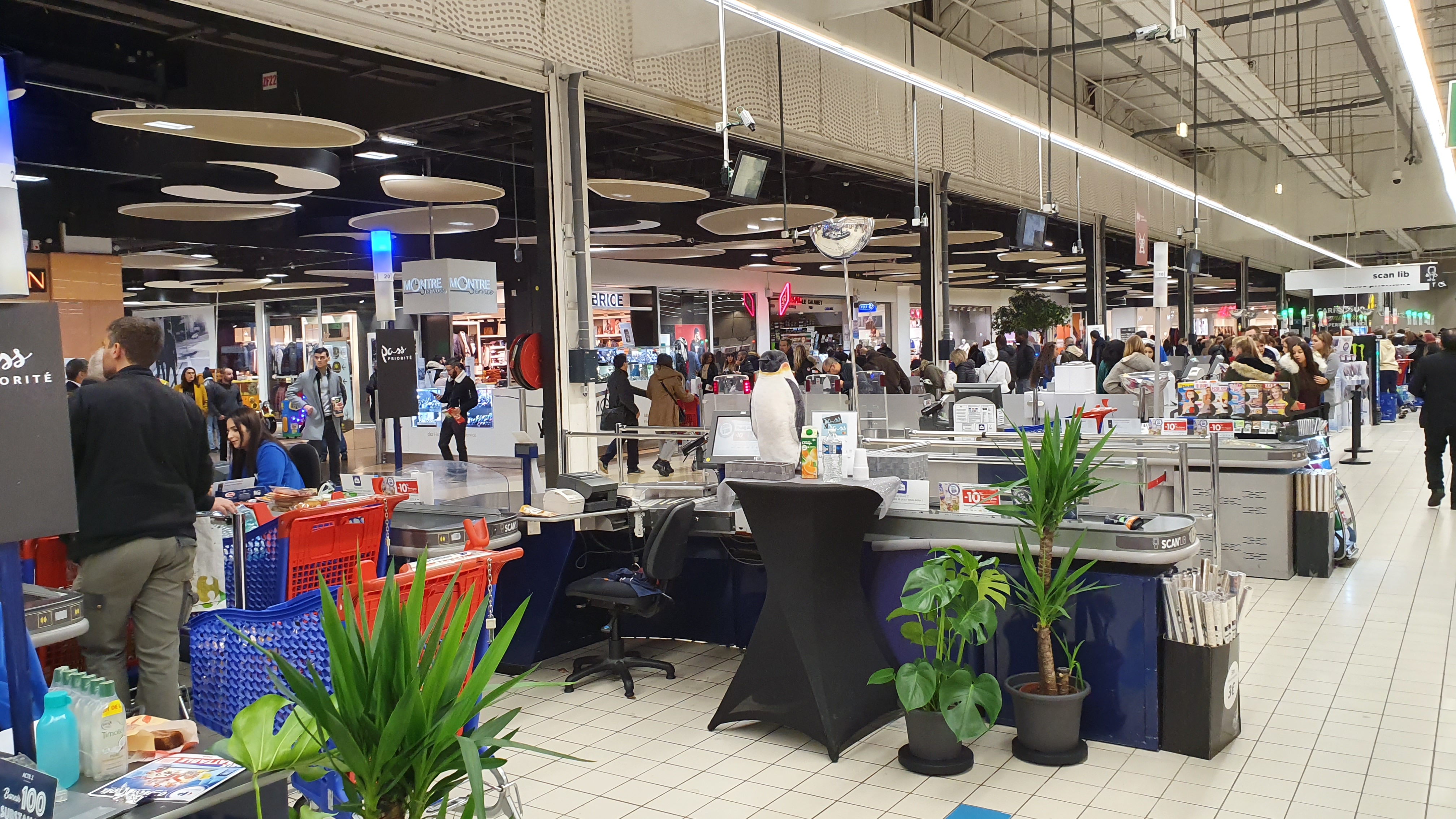 Photo n° 2 de l'avis de Amadou.i fait le 23/11/2019 à 18:01