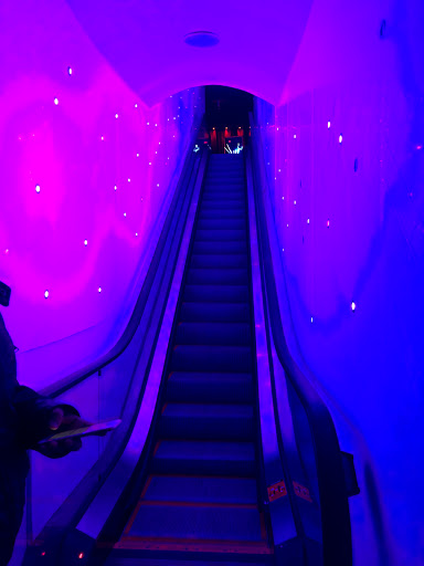 Night Club «The Rose Room», reviews and photos, 11500 Rock Rose, Austin, TX 78758, USA