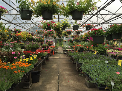 Louisiana Nursery