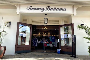 Tommy Bahama image