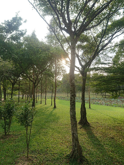 Ara Damansara Park Disc Golf Course