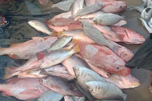 Government Fish Market image