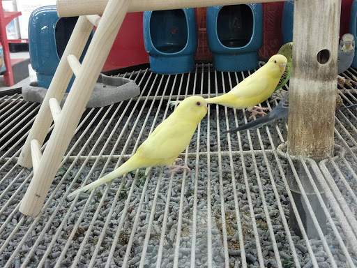 Pet Supply Store «Petco Animal Supplies», reviews and photos, 2353 SE Federal Hwy, Stuart, FL 34994, USA