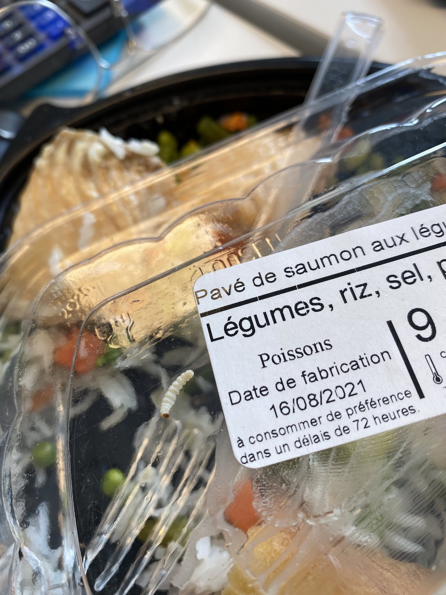 Photo n° 1 de l'avis de Camélia. fait le 16/08/2021 à 13:46