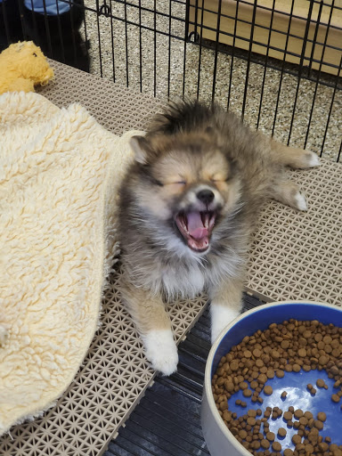 Pet Supply Store «Pet Ranch», reviews and photos, 3823 E 120th Ave, Denver, CO 80233, USA