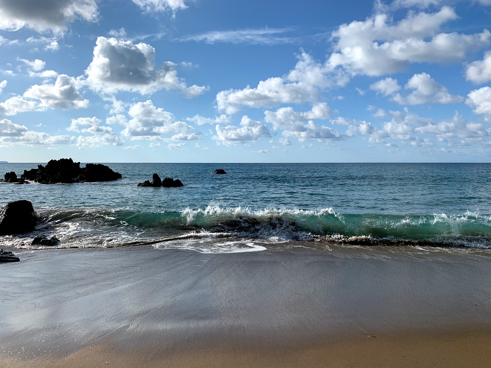 Foto de Playa Las Caletas localizado em área natural