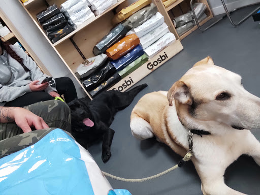 Tartanga Castro Urdiales Clínica Veterinaria en Castro Urdiales