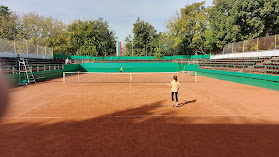 Тенис База