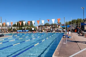 Aquabear Swim Club image