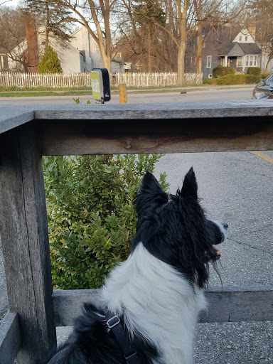 Caterer «eat / catering and carry-out», reviews and photos, 1906 Packard Rd, Ann Arbor, MI 48104, USA