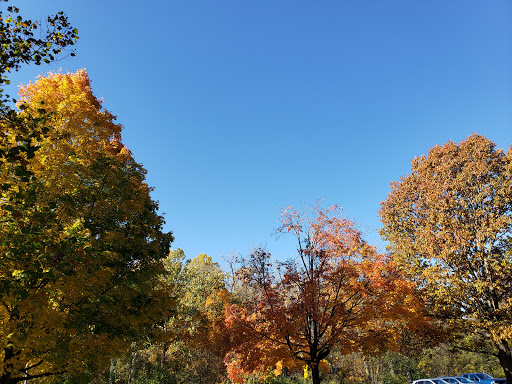 Community Center «Garfield Park Nature Center», reviews and photos, 11350 Broadway Ave, Garfield Heights, OH 44125, USA