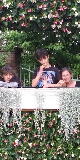 Pet Supply Store «Pawpular Companions Pet Supplies», reviews and photos, 21950 E Country Vista Dr, Liberty Lake, WA 99019, USA