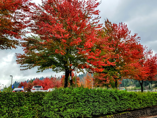 Casino «Spirit Mountain Casino», reviews and photos, 27100 Salmon River Hwy, Grand Ronde, OR 97347, USA