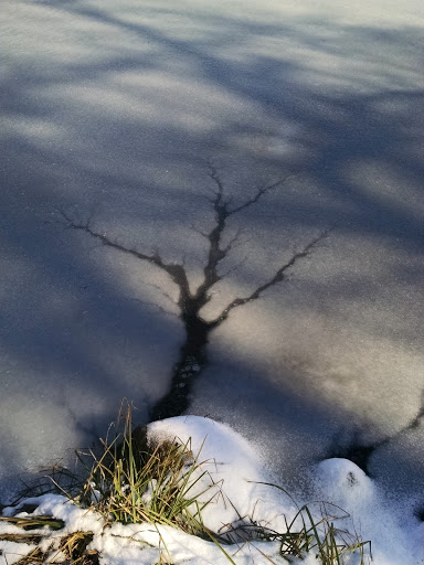Gift Shop «Stonehedge Gardens», reviews and photos, 51 Dairy Rd, Tamaqua, PA 18252, USA