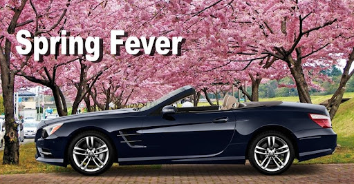 Used Car Dealer «Select Auto Imports», reviews and photos, 5630 S Van Dorn St, Alexandria, VA 22310, USA