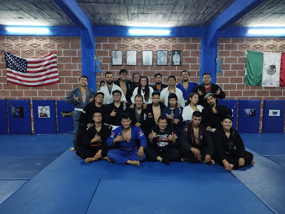 Academia Tiger Fighting Jiu Jitsu y MMA Neza