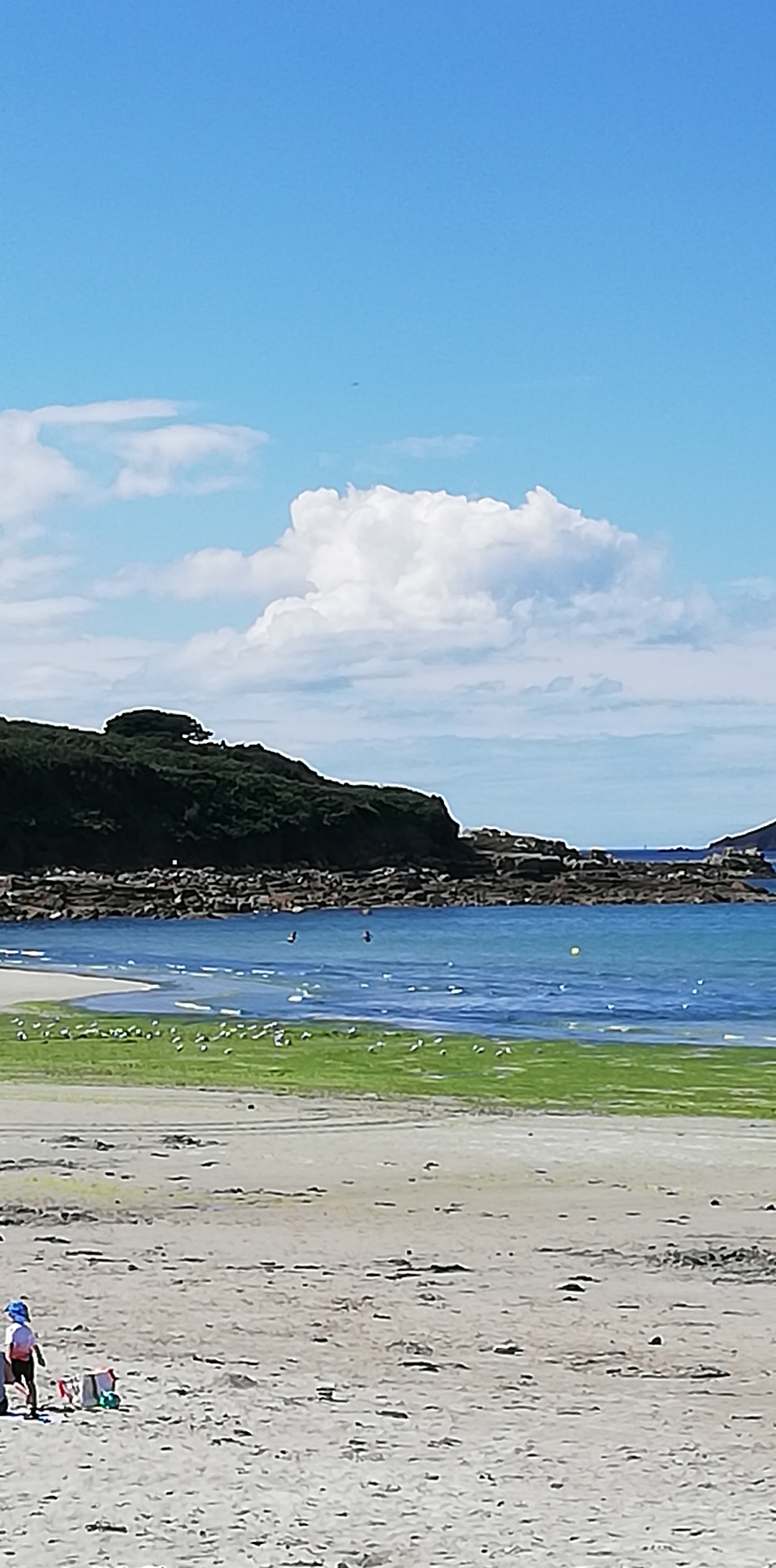 Photo n° 1 de l'avis de Corinne.iguane@gmail.com.o fait le 17/08/2020 à 17:25