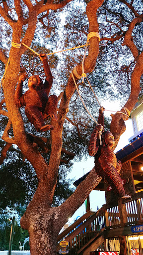 Tourist Attraction «Coconut Creek Family Fun Park», reviews and photos, 9807 Front Beach Rd, Panama City Beach, FL 32407, USA