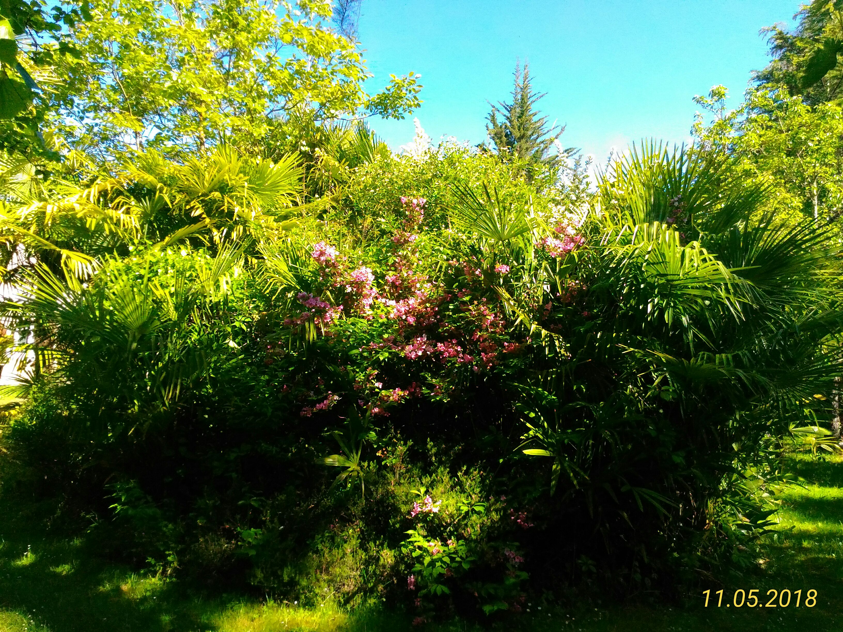 Photo n° 6 de l'avis de Marie.a fait le 13/05/2018 à 04:32