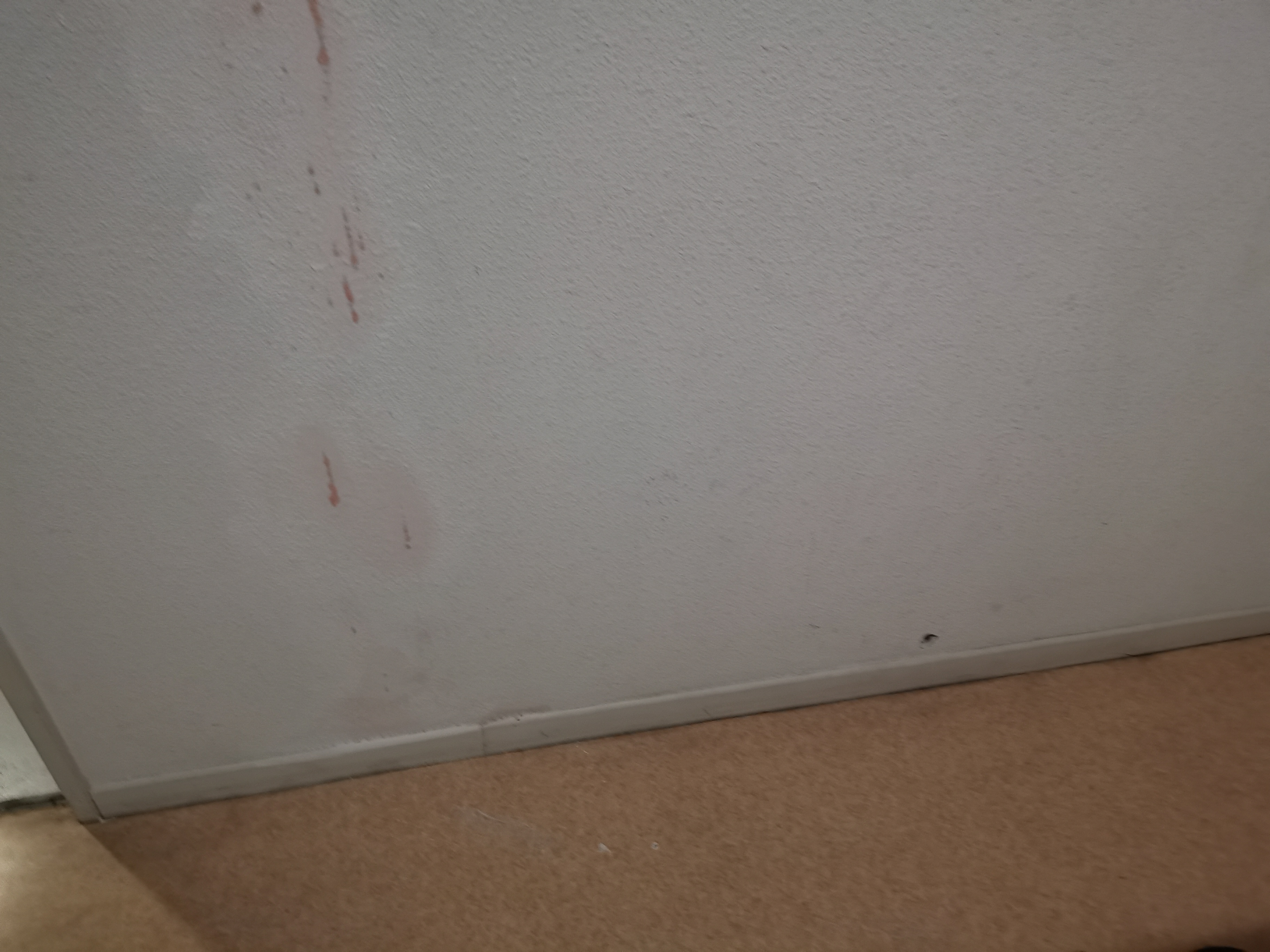 Photo n° 13 de l'avis de Yoann.e fait le 07/03/2019 à 09:48