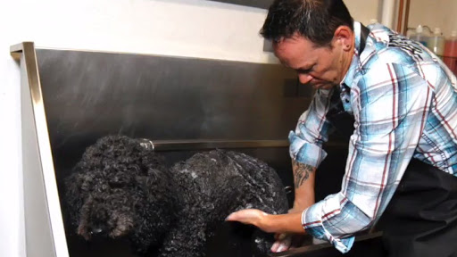 Pet Store «Good Life Pet Center», reviews and photos, 525 S Main St, Heber City, UT 84032, USA