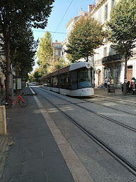 Photo n°50 de Longchamp Palace à Marseille ()