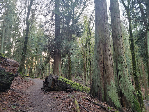 Park «Seward Park», reviews and photos, 5900 Lake Washington Blvd S, Seattle, WA 98118, USA