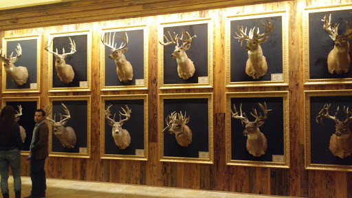 Sporting Goods Store «Bass Pro Shops», reviews and photos, 1935 S Campbell Ave, Springfield, MO 65807, USA