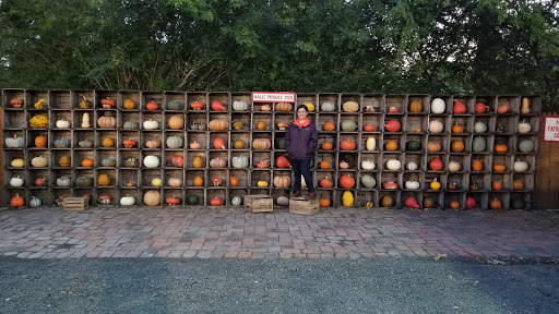 Garden Center «Nalls Produce», reviews and photos, 7310 Beulah St, Alexandria, VA 22315, USA