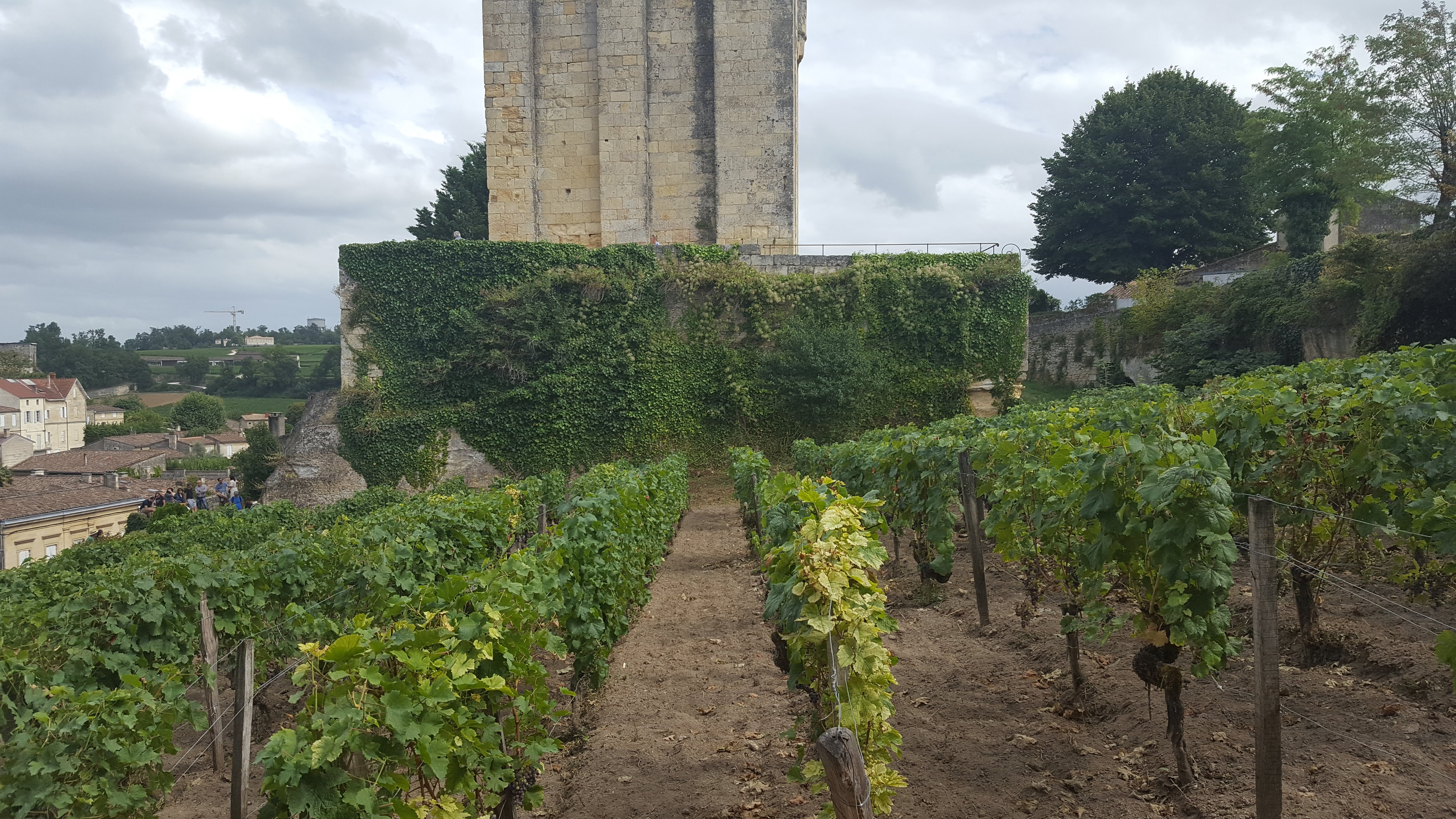 Photo n° 1 de l'avis de Philippe.i fait le 11/08/2019 à 11:25