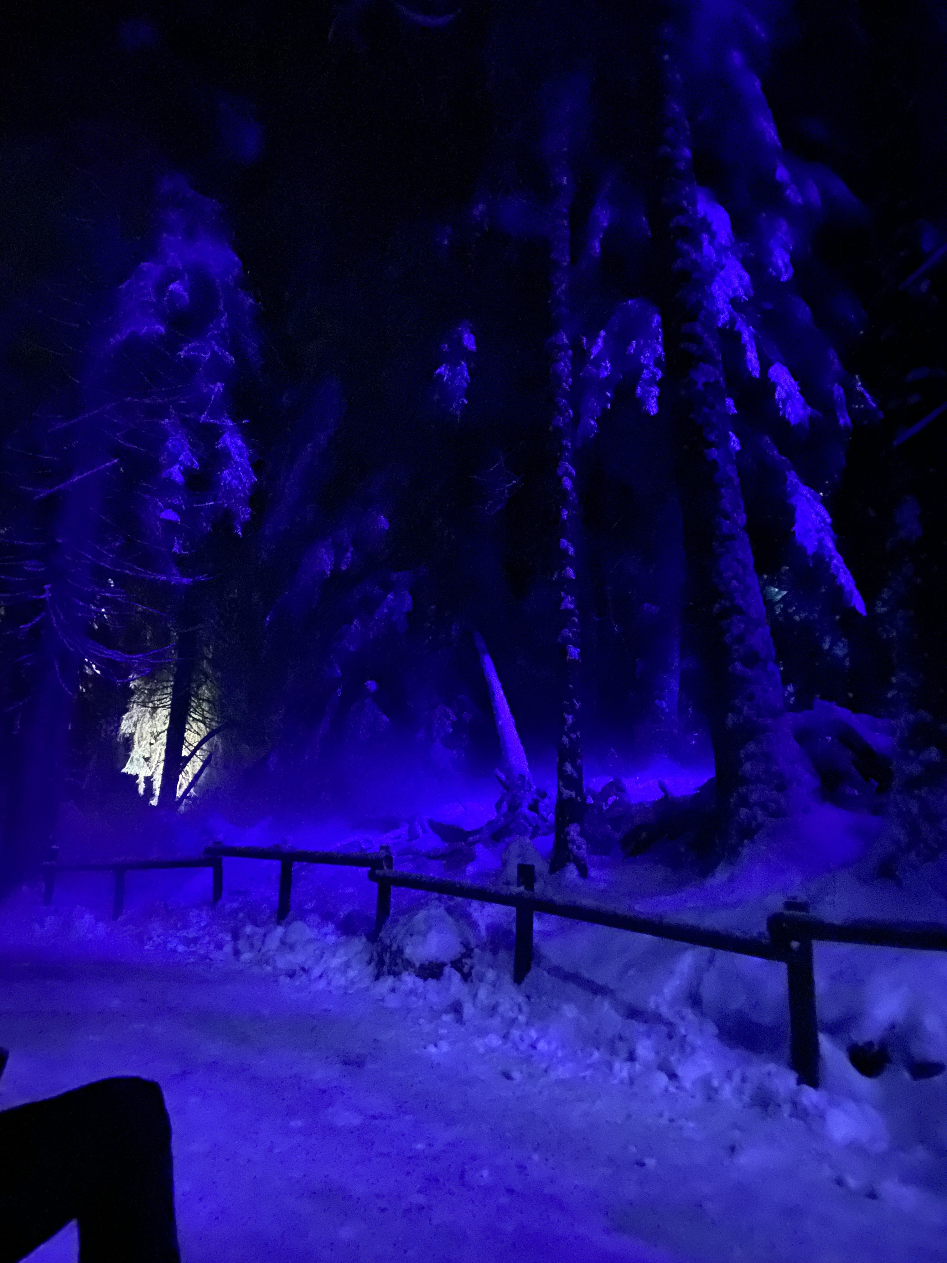 Photo n° 3 de l'avis de Marjorie.a fait le 22/12/2022 à 18:32
