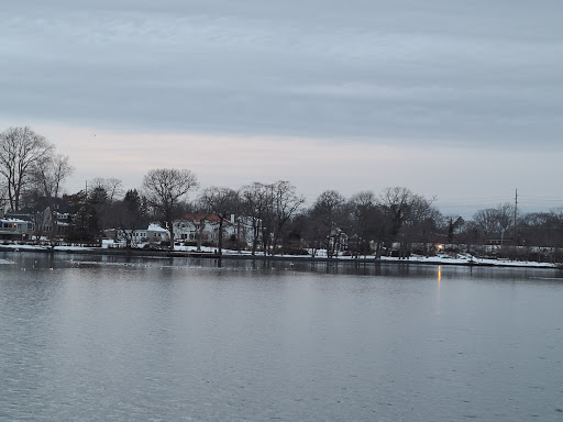 Plant Nursery «Argyle Flower & Garden Ltd», reviews and photos, 185 W Main St, Babylon, NY 11702, USA