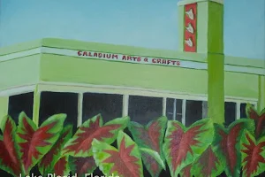Caladium Arts & Crafts Co-Op image