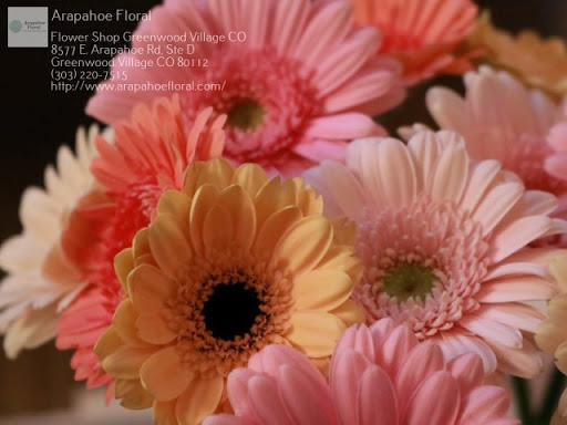 Florist «Arapahoe Floral», reviews and photos, 8577 E Arapahoe Rd, Greenwood Village, CO 80112, USA