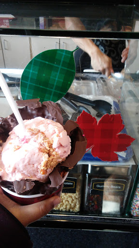 Ice Cream Shop «Cold Stone Creamery», reviews and photos, 9230 7th Ave, Norfolk, VA 23511, USA