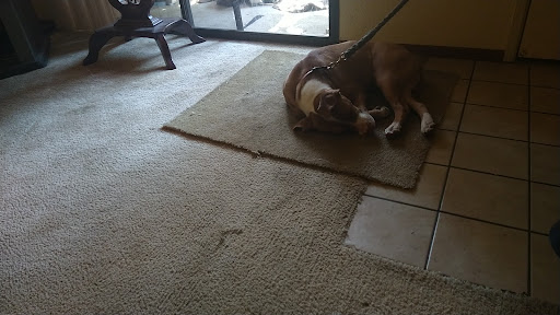 Pet Supply Store «Western Feed & Pet Supply», reviews and photos, 8980 Greenback Ln, Orangevale, CA 95662, USA