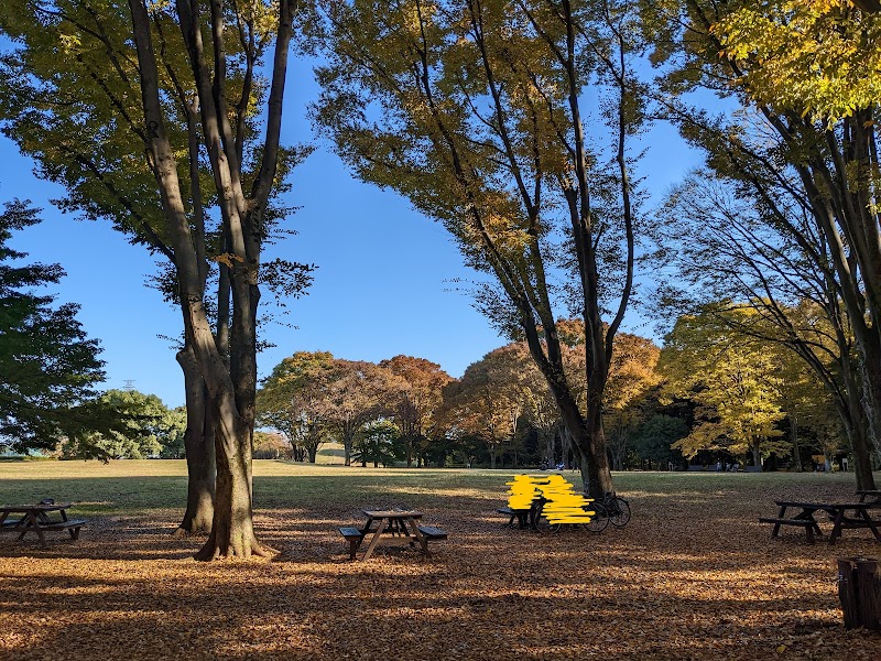 神代植物公園自由広場