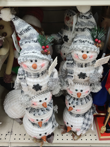 Home Goods Store «Christmas Tree Shops», reviews and photos, 5450 Brandywine Pkwy, Wilmington, DE 19803, USA