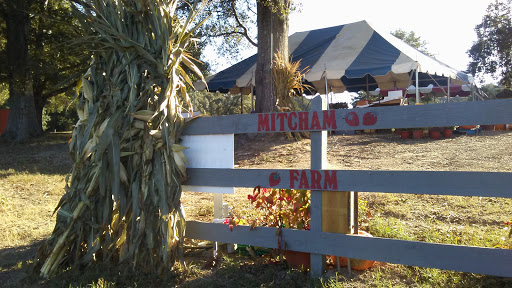 Tourist Attraction «Mitcham Farm», reviews and photos, 797 W Macedonia Church Rd, Oxford, GA 30054, USA