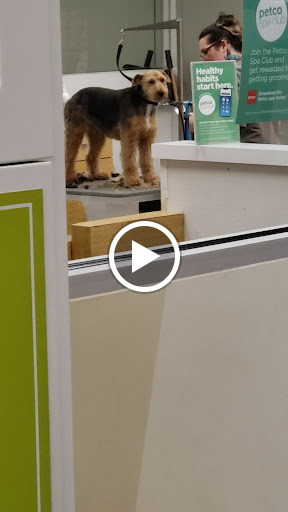 Pet Supply Store «Petco Animal Supplies», reviews and photos, 1203 SE Everett Mall Way f, Everett, WA 98208, USA