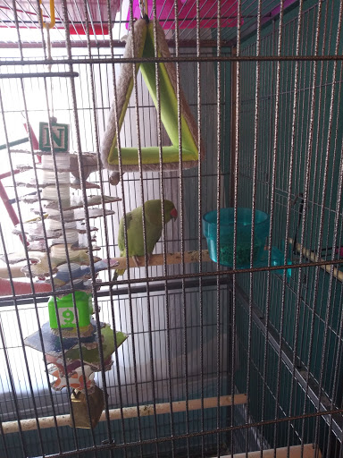 Animal Feed Store «Family Pet Food Center», reviews and photos, 1228 S Military Ave, Green Bay, WI 54304, USA