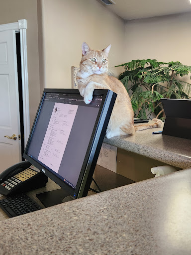 Aspen Tree Animal Care image