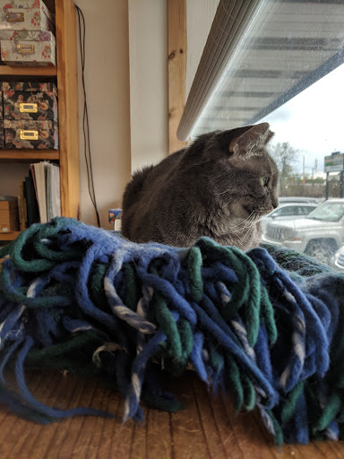 Used Book Store «Book Buyers», reviews and photos, 1306 The Plaza, Charlotte, NC 28205, USA