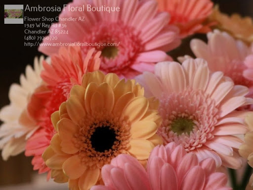 Florist «Ambrosia Floral Boutique», reviews and photos, 1949 W Ray Rd, Chandler, AZ 85224, USA