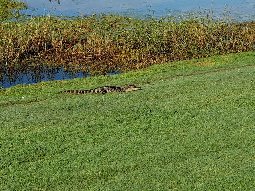 Golf Club «Oak Island Golf Club», reviews and photos, 928 Caswell Beach Rd, Oak Island, NC 28465, USA